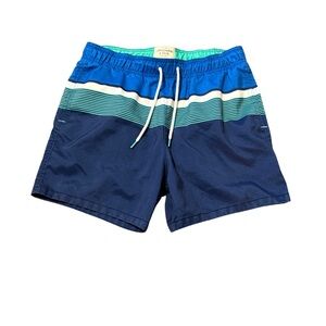 Abercrombie & Fitch Blue Striped Swim Shorts